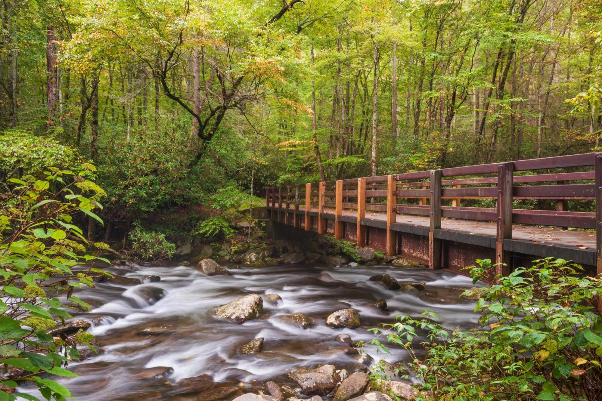 River Breeze, Wifi, 1089 Free Tickets Each Paid Day, Dollywood And More Pigeon Forge Exterior foto